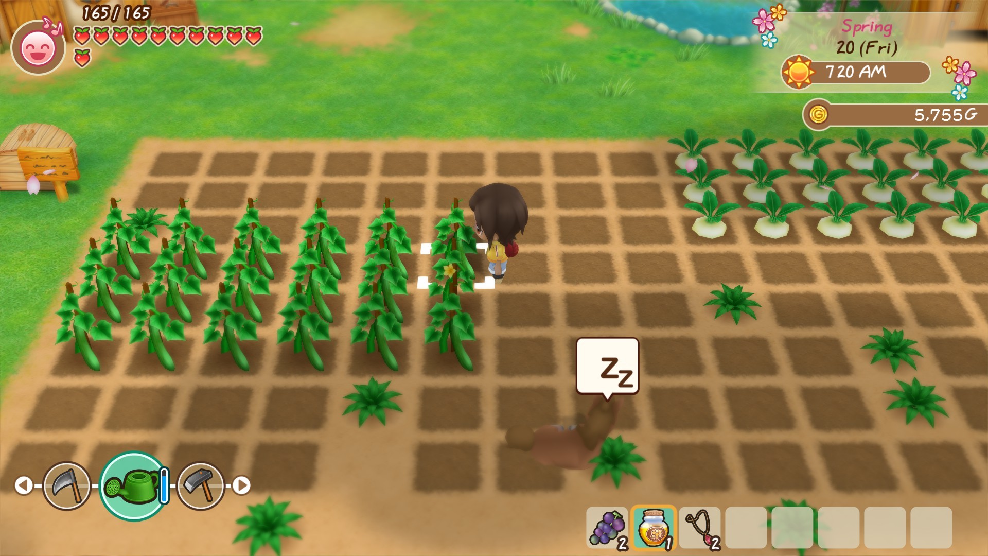 Town Life Screenshot